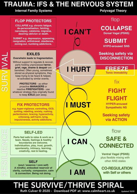 Emotionally Focused Individual Therapy, Systemisches Coaching, Polyvagal Theory, Nervus Vagus, Therapeutic Interventions, Counselling Tools, Internal Family Systems, Therapy Exercises, Attachment Theory