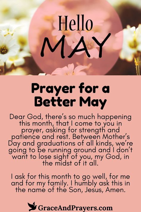 As flowers bloom and the world awakens anew, May is a time of rejuvenation and hope. This prayer seeks blessings of renewal, clarity, and joy for the month of May.

Asking for guidance on new paths, the strength to face any challenge with grace, and moments of happiness in the beauty of spring, this prayer is an invocation for a May filled with personal growth, love, and peace.

Step into May with optimism and an open heart. Explore the Prayer for a Better May at Grace and Prayers. Encouraging Prayers, Everyday Prayers, Dwelling On The Past, Names Of Jesus Christ, Month Of May, Love And Peace, The Prayer, Verses Quotes, Flowers Bloom