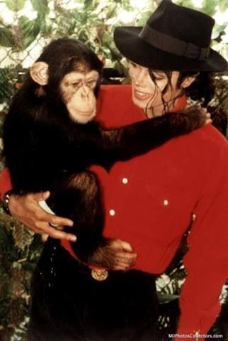 Michael and Bubbles Michael Jackson And Bubbles, Michael Jackson Bad Era, Michael Jackson Funny, Michael Jackson Wallpaper, Michael Jackson Rare, Photos Of Michael Jackson, Michael Jackson Art, Michael Jackson Smile, Joseph Jackson