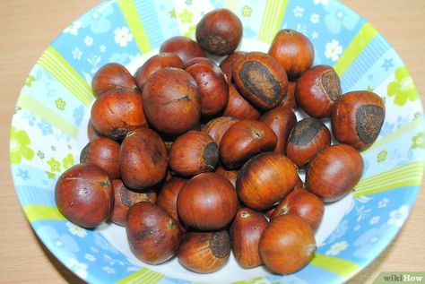 How to Store Chestnuts: 3 Steps (with Pictures) - wikiHow Chestnuts Recipes, Bacon Wrapped Roast, Vegetable Storage Bin, Chestnut Recipes, Foraging Recipes, Sweet Chestnut, Edible Wild Plants, Fall Decor Inspiration, Vegetable Storage