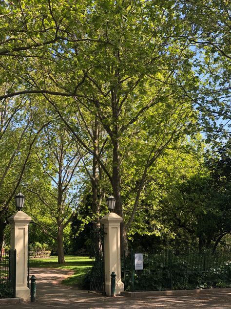 Stroll In The Park, Spring Park, The Park, Lamp Post