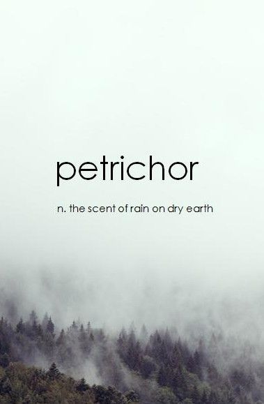 The name for that smell after it rains Uncommon Words, Unusual Words, Rare Words, Unique Words, Word Of The Day, Wonderful Words, Song Quotes, New Words, Pretty Words