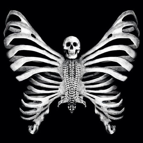 Creepy Butterfly Art, Skeleton Butterfly Aesthetic, Skeletal Butterfly, Creepy Butterfly, Skull Butterfly Tattoo Design, Butterfly With Skull, Butterfly Skulls, Butterfly Bones, Bone Wings