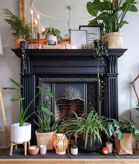 Plant Fireplace, Decor Ideas With Plants, Fireplace Styling, Fireplace Decor Ideas, Cozy Up Your Home, Vintage Fireplace, Fireplace Mantle Decor, Black Fireplace, Fireplace Mantel Decor