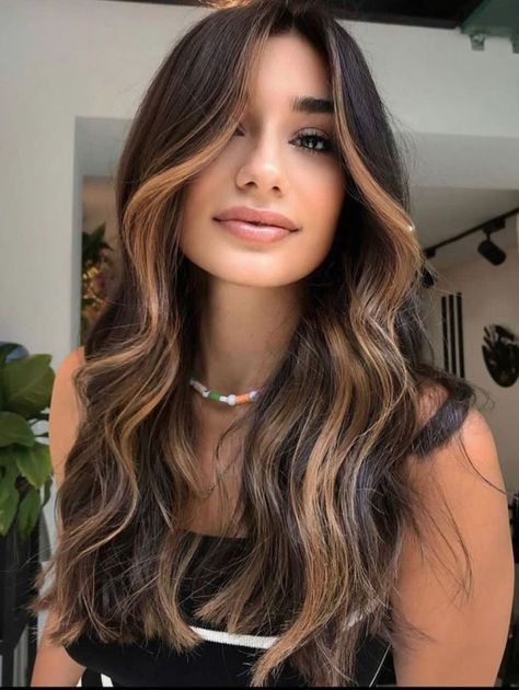 Hairstyles And Colors, Celebrities Hairstyles, Dark Brown Hair With Highlights, Hair Contouring, Highlights Ideas, Hair With Highlights, Chestnut Hair Color, Brown Hair Looks, Brown Hair Inspo