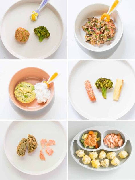 Salmon For 9 Month Old, Salmon For 8 Month Old, Salmon Recipe For Baby, Baby Salmon Recipe, Baby Recipes 8 Months Meal Ideas, Salmon Baby Food Recipes, Salmon For Baby, Salmon Recepies, 7 Month Old Baby Food