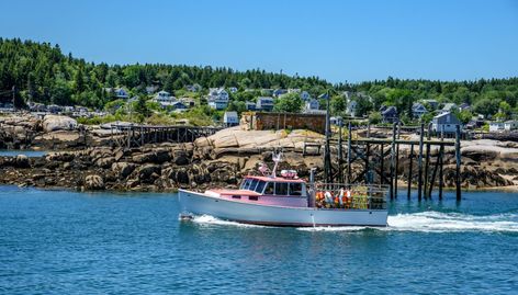 Nature, Deer Isle Maine, Adventure Videos, Downeast Maine, Forest Hiking, Camden Maine, Fresh Lobster, Hidden Beach, Lily Pond