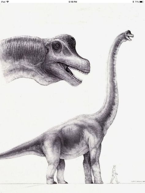 Long Neck Dinosaur Drawing, Brontosaurus Drawing, Brachiosaurus Art, Park Concept Art, Dino Drawing, Craig Mullins, Park Concept, Dinosaur Sketch, John Bell