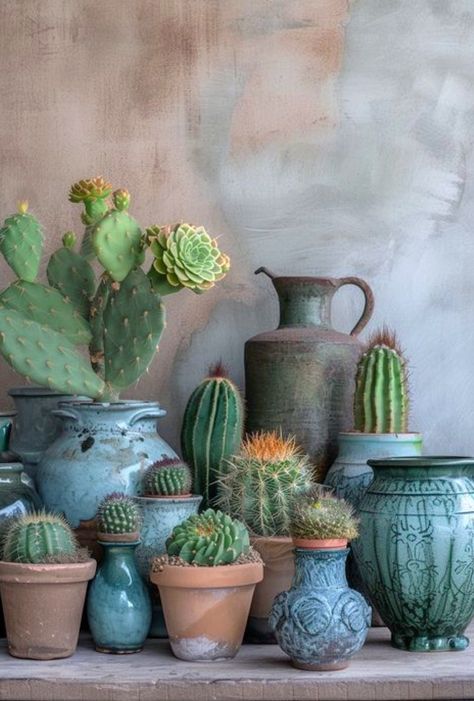 Cactus Garden Landscaping, Cactus House Plants, Need A Change, Bloom Where Youre Planted, Blooming Cactus, Cactus Plant, Cactus Garden, House Plants Indoor, Cactus And Succulents