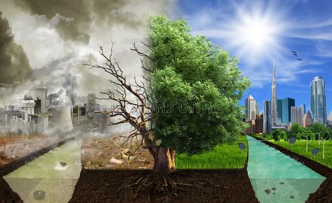 Two options / sides , eco concept, eco digital art. Pollution vs. healthy enviro , #Aff, #eco, #concept, #options, #sides, #digital #ad Eco City, Environmental Degradation, Animal Agriculture, Factory Farming, Change Picture, Ascended Masters, Water Pollution, Sustainable Farming, Water Resources