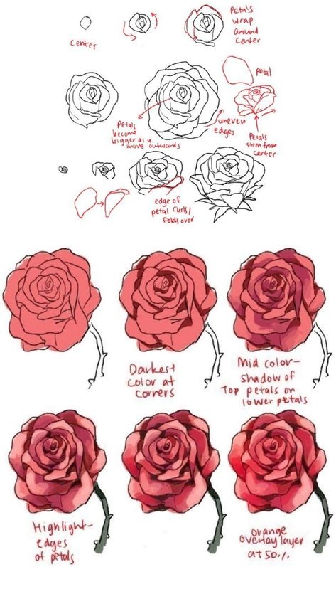 Anime Rose Drawing, Roses Drawing Reference, Rose Reference Drawing, Rose Sketch Tutorial, Rose Drawing Reference, Anime Rose Flowers, How To Shade Roses Drawing, Realistic Rose Drawing Step By Step, Rose Drawing Tutorial