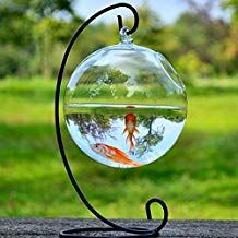 Hanging Fish Bowl, Fish Bowl Decorations, Desk Hanging, Vase Fish Tank, Hanging Glass Vase, Glass Fish Bowl, Glass Fish Tanks, Fish Vase, Mini Aquarium