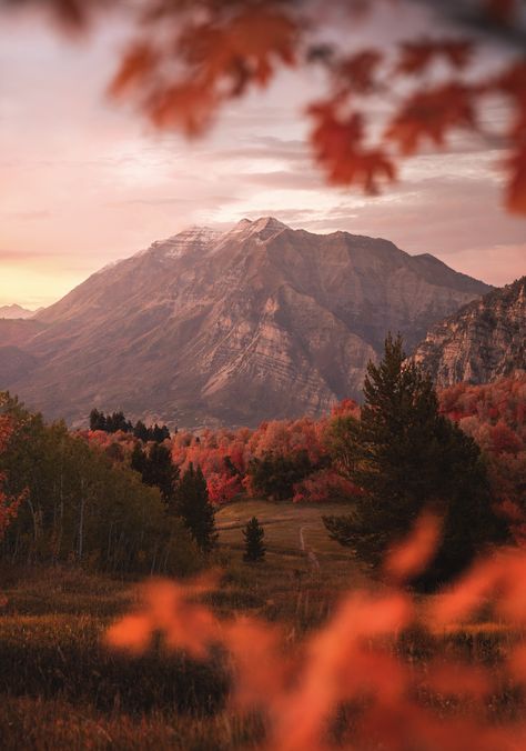 Experiencing Fall Colors: Ultimate Guide to an Autumn Utah Adventure with Tripadvisor Basics Of Photography, Utah Fall, Photography Composition, Utah Adventures, Pretty Landscapes, Composition Photography, Autumn Scenery, Beautiful Locations Nature, Nature Aesthetic