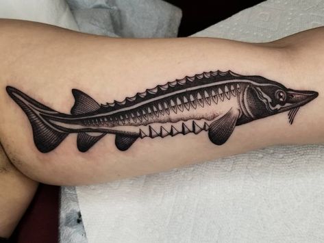 ❂hailey klar❂ on Instagram: “Lil sturgeon fishy on an inner bicep, thanks Heidi! . . . . .…” Freshwater Fish Tattoo, Sturgeon Fish Tattoo, Sturgeon Tattoo, Trout Tattoo, Leg Tats, Sturgeon Fish, Traditional Tattoo Flash Art, Woodcut Tattoo, Bamboo Tattoo