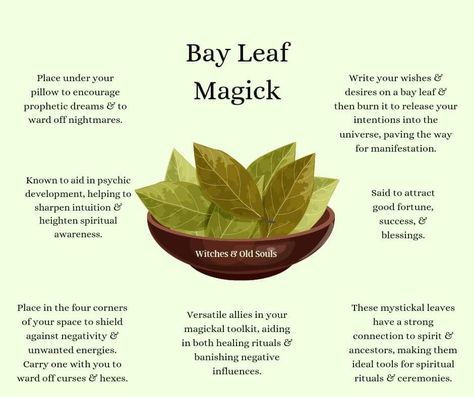 Burning Bay Leaves, Occult Science, Spiritual Prayers, Healing Plants, Psychic Development, Herbal Healing, Bay Leaf, Bay Leaves, Witchy Vibes