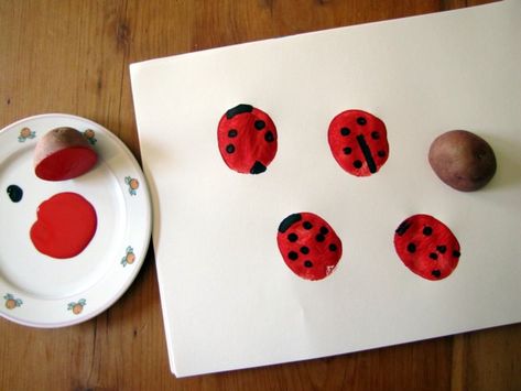 Potato print ladybugs! Ladybirds Eyfs Activities, What The Lady Bird Heard Activities, The Bad Tempered Ladybird Eyfs, Ladybird Activities Eyfs, Ladybirds Eyfs, Ladybird Biscuits, Potatoe Printing, What The Ladybird Heard Eyfs, Ladybird Activities