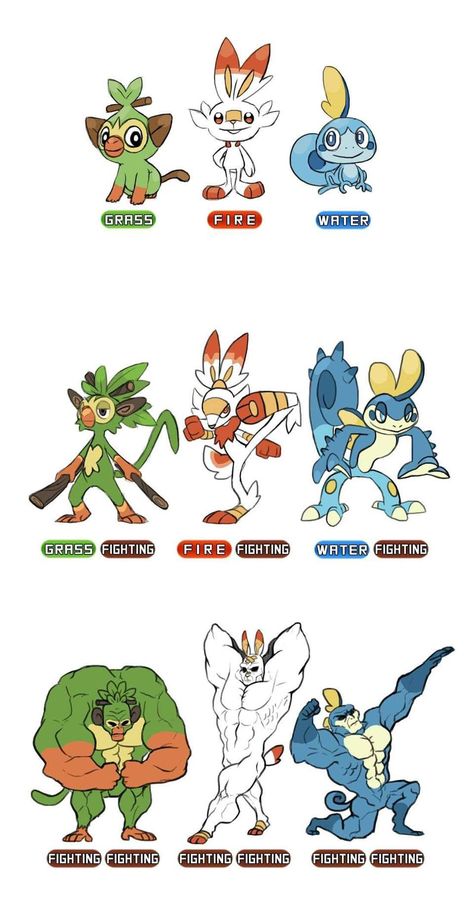 Gen 8 Starter Evolutions | Pokémon Sword and Shield | Know Your Meme Pokemon Starter Evolutions, New Pokemon Starters, Pokémon Funny, Pokemon Starters, Pokemon Fanart, Oc Pokemon, Pokemon Eeveelutions, Pokemon Comics, Pokemon Memes