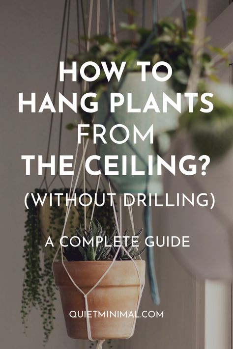 How to Hang Plants From the Ceiling Without Drilling (12 Creative Ways) Hang Plant From Ceiling, How To Hang Plants From Ceiling Diy, How To Hanging Plants, Rent Friendly Plant Hanging, Hanging Plants No Holes, Hanging Plants In Front Of Window Ideas, Window Plant Hanging, How To Hang Hanging Plants, Hanging Plants For Bathroom