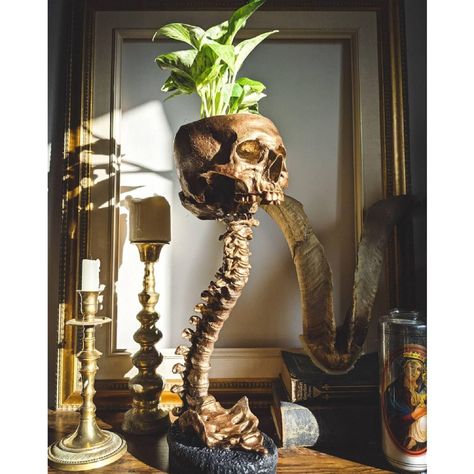 Home Décor, Scary Halloween, Halloween Decorations, Halloween, Skull Planter, Scary Halloween Decorations, Home Accessories, Home Decor