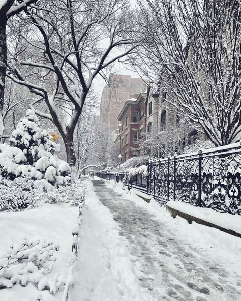 Chicago’s Gold Coast under a blanket of snow ❄️ #chicago #goldcoast #downtown Winter Athstetic, Chicago Aesthetic Winter, Chicago City Aesthetic Winter, Chicago Winter Aesthetic, Romanticize Winter, Snow Aesthetic City, Gold Coast Chicago, Snowy Chicago Aesthetic, Snow In Chicago