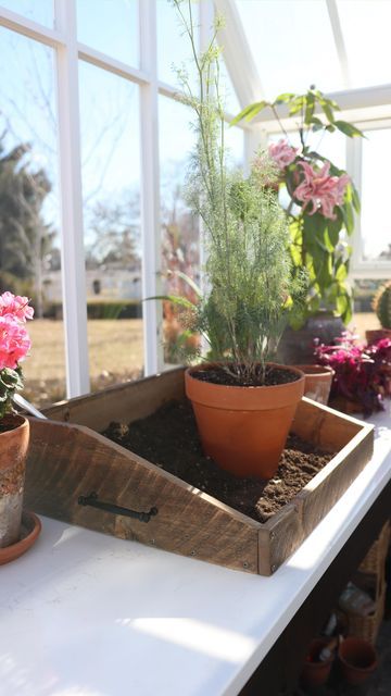 Wooden Potting Tray, Potting Tables Diy Wood, Potting Tray Diy, Diy Potting Tray, Potting Tray, Potting Bench Ideas, Potting Benches, Garden Answer, Shed Makeover