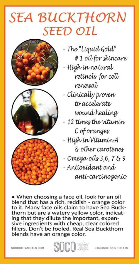 If you are looking for a natural way to moisturize your skin, sea buckthorn oil is the solution! #seabuckthorn #benefits #healthylife #health Coconut Oil Uses, Neroli Essential Oil, Natural Anti Aging Skin Care, Skincare 101, Pomegranate Seed Oil, Sea Buckthorn Oil, Anti Aging Food, Essential Oils For Skin, Benefits Of Coconut Oil