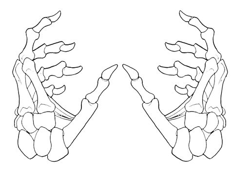 Tattoo design 1 Drawing Hands, Skeleton Outline Drawing, Skull Hand Drawing, Hand Holding Tattoo, Hook Tattoos, Skeleton Hand Tattoo, Skull Hand Tattoo, Skeleton Drawings, Skeleton Tattoos