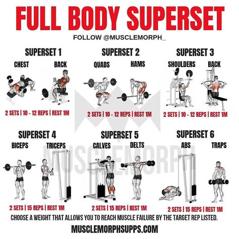 Full Body Superset @musclemorph_... Superset Dumbbell Workout, Full Body Db Circuit, Total Body Superset Workout, Midsection Workout Gym, Superset Workout Plan, Back Workout Superset, Full Body Superset Workout Weights, Full Body Db Workouts, Supersets For Women