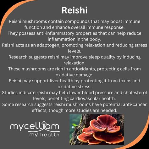 Amazing benefits of reishi in our product line! Reishi Benefits, Reishi Mushroom Benefits, Mushroom Benefits, Sleep Rituals, Boost Immunity, Natural Balance, Reishi Mushroom, Sleep Issues, Wellness Routine