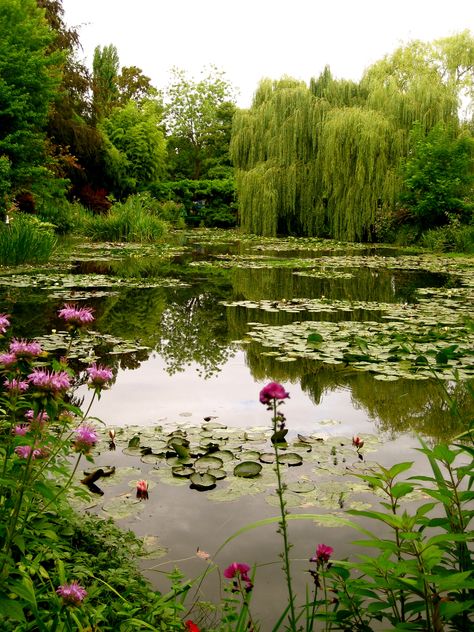 Monet's Pond - Giverny, France French Garden Design, Water Gardens, Lily Pond, French Garden, A Pond, The Pond, Alam Yang Indah, Art References, Water Lilies