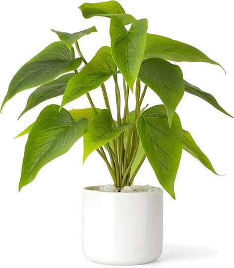 Amazon.com: Mkono Fake Plants in Ceramic Pot, 11" Potted Artificial Plants for Home Decor Indoor Faux Green Leaf Plant with Modern White Planter for Desk Shelf Office Room Decoration (Pothos) : Home & Kitchen Cute Fake Plants, Primitive House Decorations, Plants For Home Decor, Desk Plant, Fake Potted Plants, Shelf Office, Plants For Home, Corporate Office Decor, Artificial Potted Plants