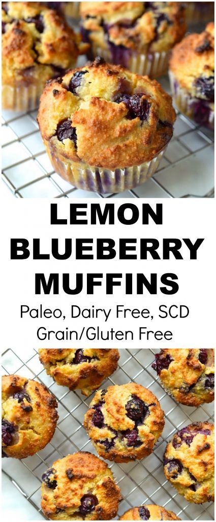 Paleo Lemon Blueberry Muffins, Muffins Lemon, Muffins Paleo, Paleo Muffins, Postre Keto, Lemon Blueberry Muffins, Paleo Baking, Lemon Muffins, Paleo Sweets