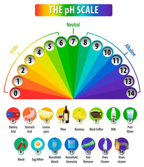 How To Learn Chemistry, Ph Chart, Ph Scale, Education Cartoon, Science Chart, Biology Revision, Montessori Science, Teaching Math Strategies, Acid Base Balance