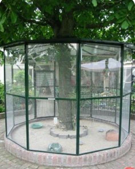 Chicken Coop Landscaping, Coop Landscaping, Reban Ayam, Chicken Coop Ideas, Diy Bird Cage, Bird Cage Design, Backyard Coop, Pet Bird Cage, Chicken Keeping