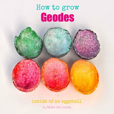 How To Grow A Geode In an Egg Want to make some amazing looking geodes grow out of an egg, and teach your kids some science at the same time?  Its actually pretty easy, and the whole process takes under two days, most of that which is just watching and waiting. My daughter used this idea for her science project, too! Day Activities, Kid Science, St Paddys, Fair Projects, Cool Science Experiments, Diy Projects For Kids, Science Fair Projects, Homeschool Science, Science Experiments Kids