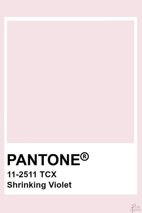 Pale Pink Pantone, Light Pink Pantone, Pantone Pink Shades, Libra Colors, Pink Pantone, Pantone Color Chart, Shrinking Violet, Pantone Swatches, Pantone Palette