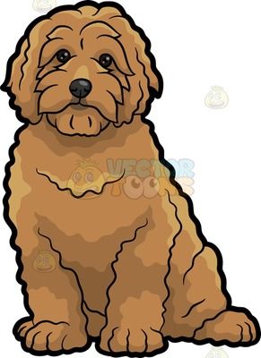 Minature Labradoodle, Wolf Doodle, Cute Golden Doodle, Puppy Drawing Easy, Teddy Bear Drawing, Golden Doodle Dog, Teddy Bear Dog, Puppy Drawing, Mini Doodle