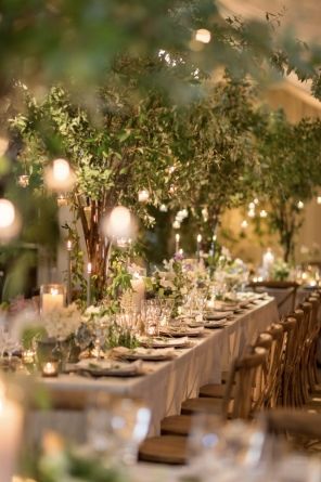 Natal, Magical Garden Wedding, Oasis Wedding, Wedding Decor Table, Elegant Wedding Decor, Lush Wedding, Green Centerpieces, Tafel Decor, Garden Theme Wedding