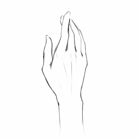 Hand Model Drawing, Hand Drawing Female, Elegant Hand Poses Drawing, Hand Drawing Pencil, Womans Hand Drawing, Wrist Drawing, Hands Up Drawing, Fingers Drawing, Hand In Hand Sketch