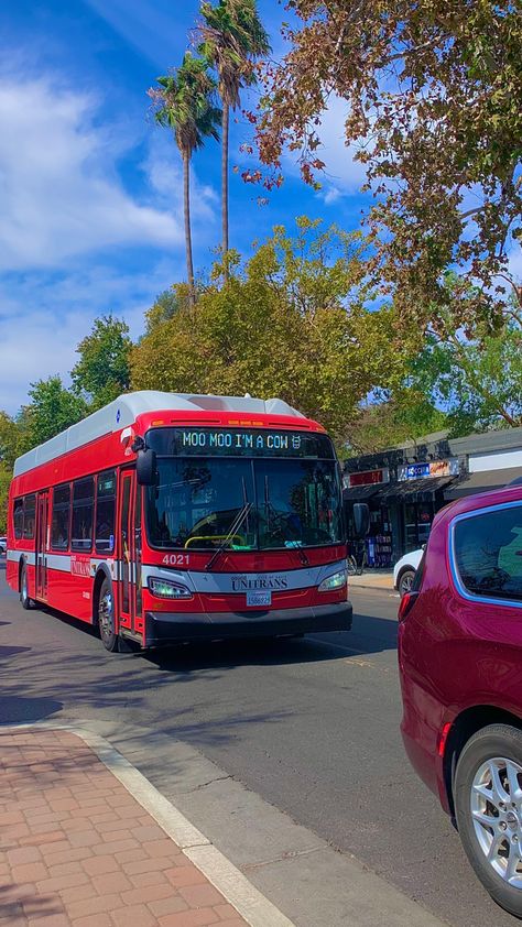 Uc Riverside Aesthetic, Davis Aesthetic, Ucsd College Aesthetic, Uc Davis Aesthetic, Ucsb College Aesthetic, Uc Davis, Aesthetic Bus Photos, Red Bus Aesthetic, Davis California