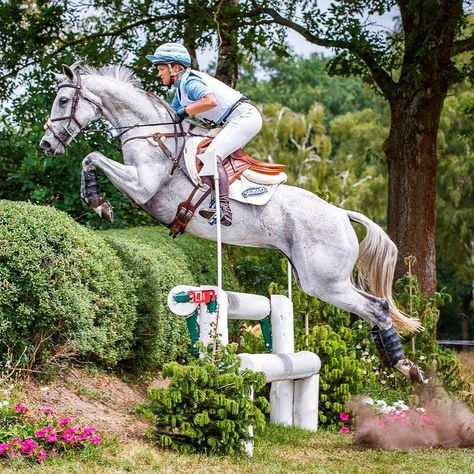 Equestrian Cross Country, Cross Country Horses, Xc Horse, Cross Country Horse Riding, Dressage Horses Photography, Horse Cross Country, Horse Eventing, Eventing Cross Country, Equestrian Jumping