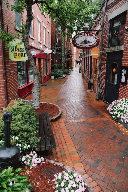 Best Christmas Destinations, Christmas Hand Painted, Portsmouth New Hampshire, Christmas Destinations, New England Road Trip, Best Travel Destinations, Fall Road Trip, East Coast Travel, East Coast Road Trip