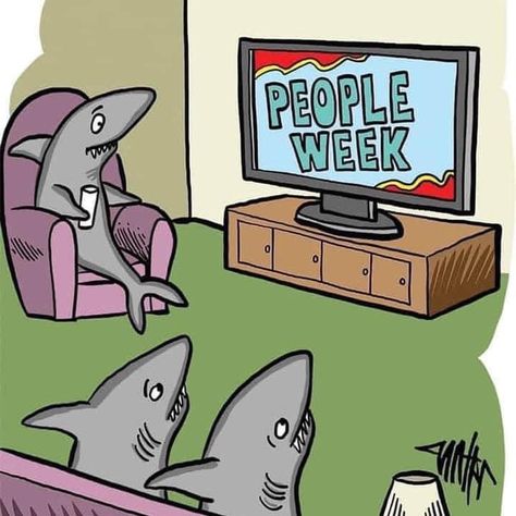 Shark Humor, Gary Larson Cartoons, Love Jokes, Shark Themed Party, Yoda Funny, Funny Today, Daily Jokes, Sharks Funny, Collage Book