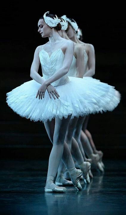 Swan Lake Ballerina, Ballet Dance Photography, Ballet Painting, Swan Lake Ballet, Dance Aesthetic, Ballet Pictures, Paris Opera Ballet, Ballet Beauty, Ballet Poses