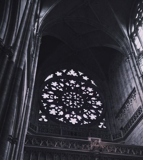 Gothic Academy Aesthetic, Cage Aesthetic Dark, Gothic Academia Aesthetic, Gothic Moodboard, Sandra Core, Cathedral Aesthetic, Cathedral Ruins, Black Cathedral, Victorian Gothic Aesthetic