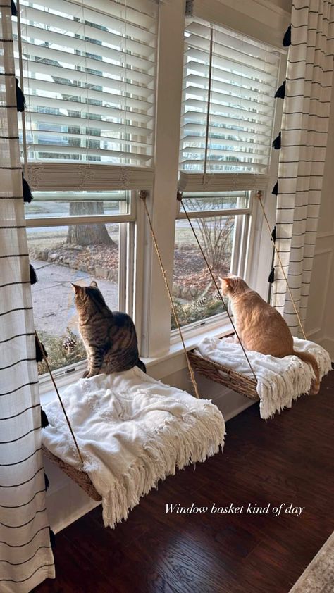 Pair of Two Cat Bed Wicker Window Baskets Window Seat For Cats, Cat Setup In Bedroom, Cat Bed Aesthetic, Cat Bed Diy, Window Cat Bed, Cat Window Seat, Cat Diys, Wicker Cat Bed, Window Baskets