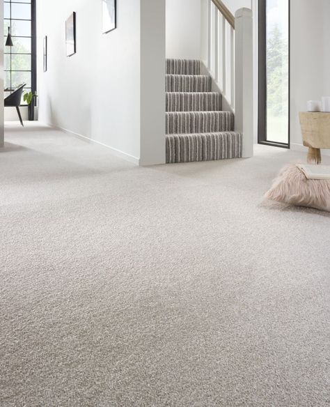 This luxurious Saxony carpet will effortlessly blend with most home interiors. Manufactured using a tough two ply yarn, this saxony carpet is easy to maintain and is designed to handle the everyday wear in busy areas of the home. Plush Saxony Urban Stripes Carpet from: £10.75m2 Carpet Store, Carpet Stores, Carpet Shops, Types Of Carpet, Best Carpet, Saxony, Best Flooring, New Carpet, Carpet Flooring