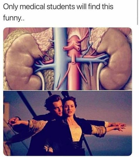 😁 Memes Medical Students, Medical Student Joke, Med School Memes, Med Student Humor, Getting Your License, Medical Humor Doctor, Medical Student Humor, Memes About Work, Medical School Humor