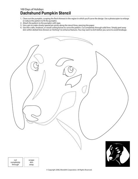 Dachshund pumpkin stencil Dog Stencil, Pumpkin Stencils, Pumpkin Cutouts, Dog Pumpkin, Dachshund Art, Dog Quilts, Pumpkin Carvings Stencils, Pumpkin Stencil, Dachshund Love