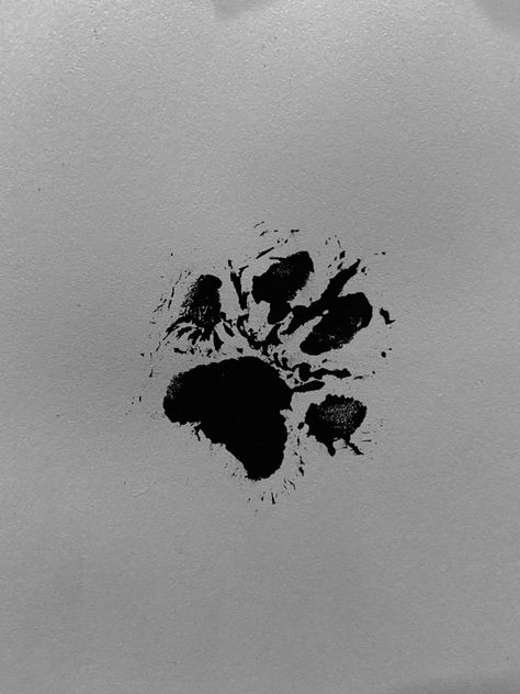 Dog Paw Wallpaper Aesthetic, Dog Aesthetic Dark, Paw Print Aesthetic, Werecat Oc, Paws Aesthetic, Paw Aesthetic, Dog Paw Print Art, Puppy Paw Print, Paw Background